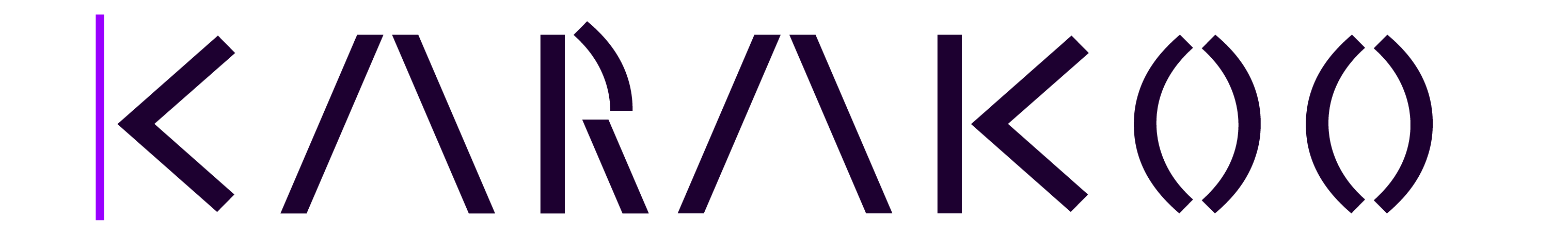 Karakoo Company Logo Light Theme